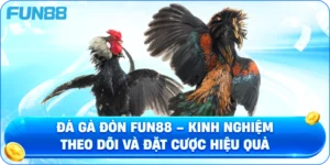 Đá Gà Đòn Fun88 – Kinh Nghiệm Theo Dõi Và Đặt Cược Hiệu Quả