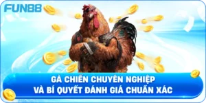 Gà Chiến Chuyên Nghiệp Và Bí Quyết Đánh Giá Chuẩn Xác